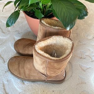 Ugg tan size 7